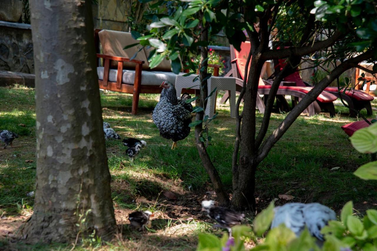 Fener Motel Şile Bagian luar foto