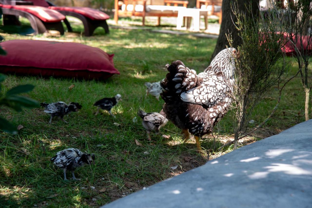 Fener Motel Şile Bagian luar foto